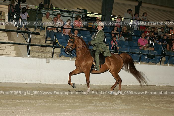 Proof 06reg14_0599