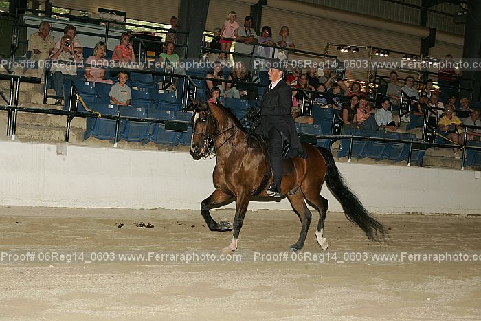 Proof 06reg14_0603