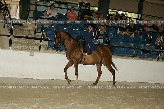 Proof 06reg14_0647