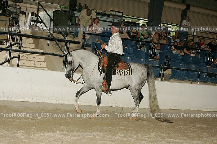 Proof 06reg14_0651