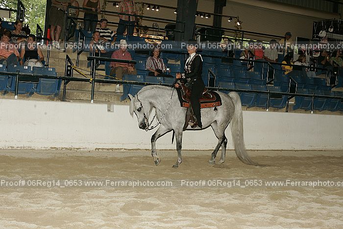 Proof 06reg14_0653