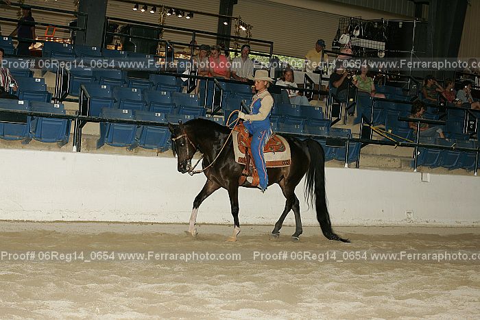 Proof 06reg14_0654