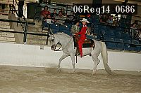 06reg14_0686 proof