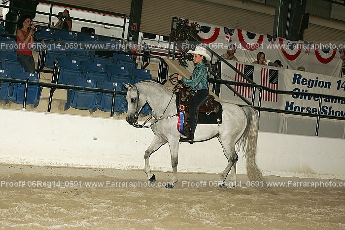 Proof 06reg14_0691