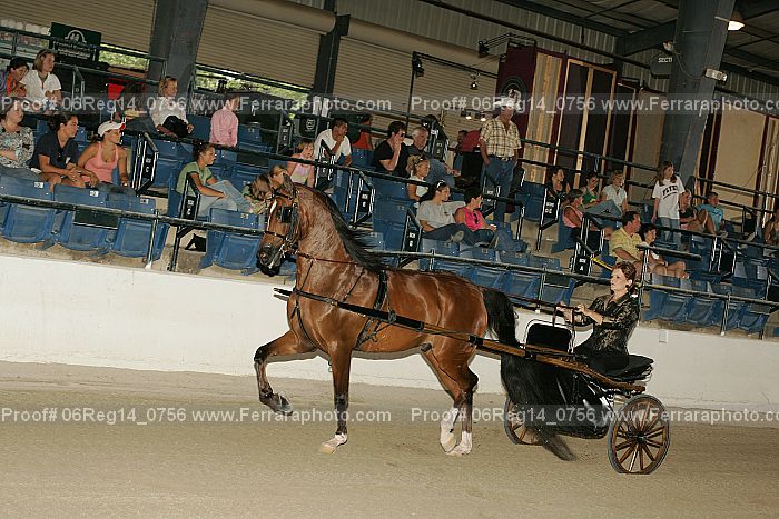 Proof 06reg14_0756