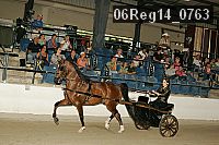 06reg14_0763 proof