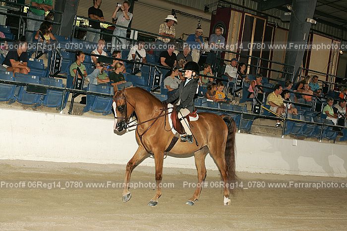 Proof 06reg14_0780