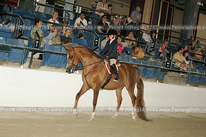 Proof 06reg14_0782