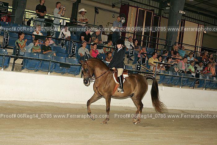 Proof 06reg14_0785
