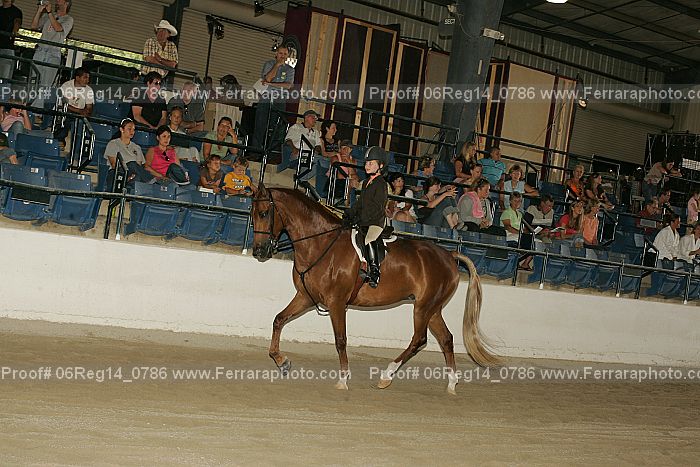 Proof 06reg14_0786
