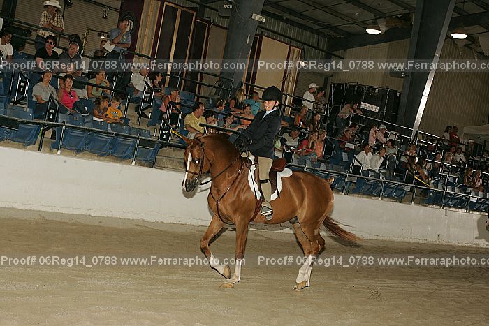 Proof 06reg14_0788