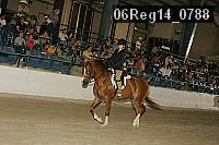 06reg14_0788 proof