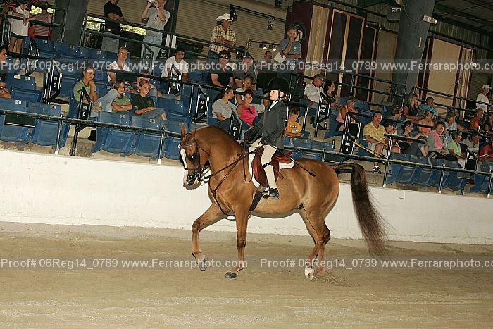 Proof 06reg14_0789
