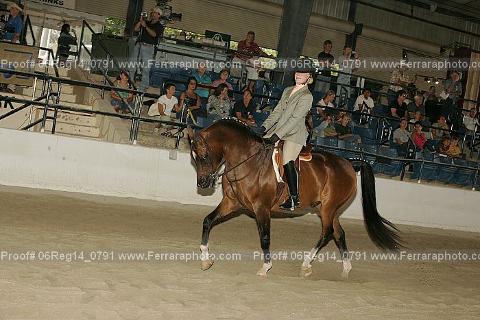 Proof 06reg14_0791