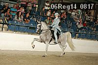 06reg14_0817 proof