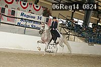 06reg14_0824 proof