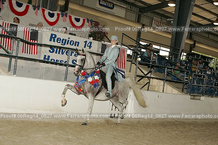Proof 06reg14_0827