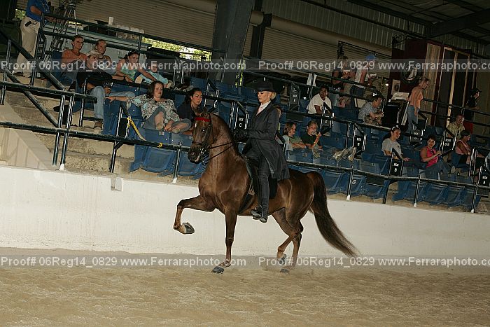 Proof 06reg14_0829