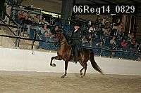 06reg14_0829 proof