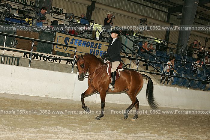 Proof 06reg14_0852