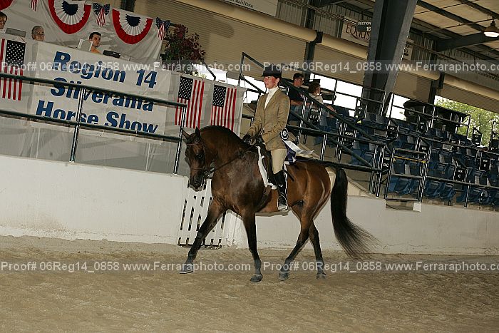 Proof 06reg14_0858