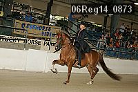 06reg14_0873 proof