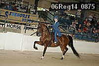 06reg14_0875 proof