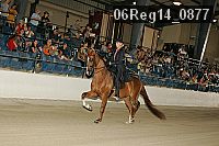 06reg14_0877 proof