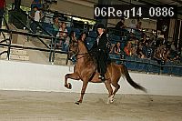 06reg14_0886 proof
