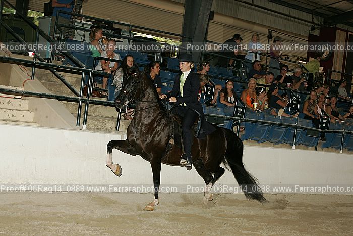 Proof 06reg14_0888