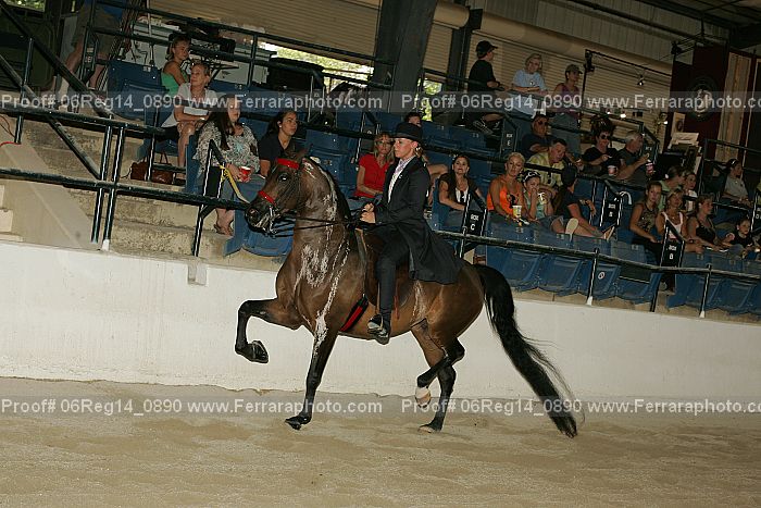 Proof 06reg14_0890
