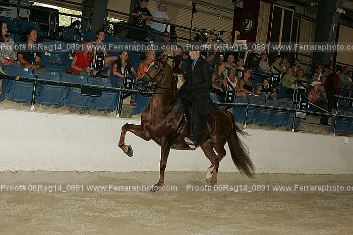 Proof 06reg14_0891