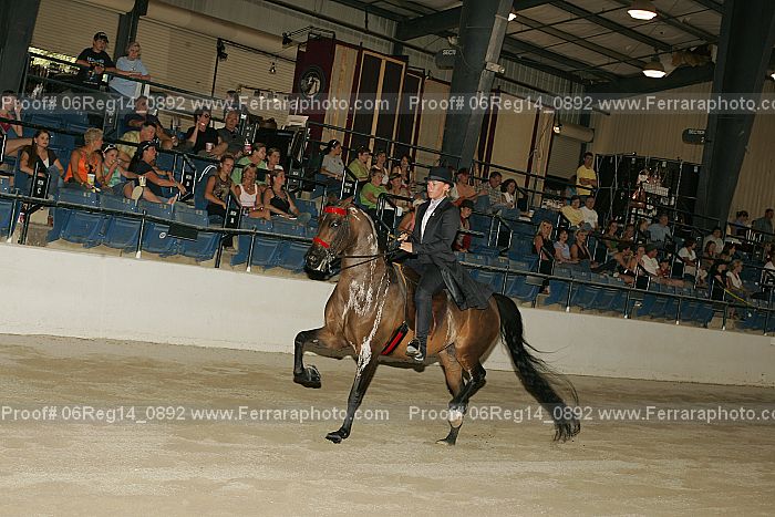 Proof 06reg14_0892