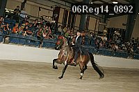 06reg14_0892 proof