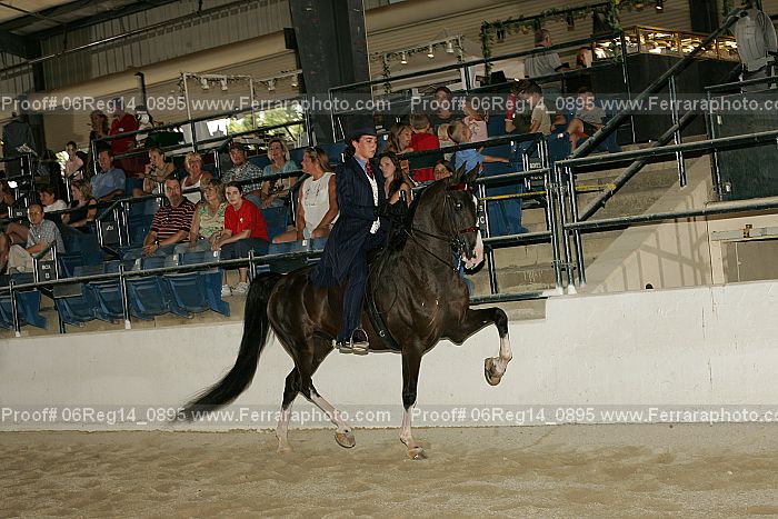 Proof 06reg14_0895