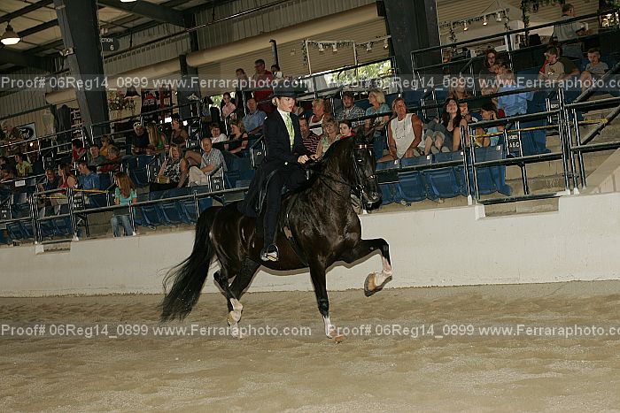Proof 06reg14_0899
