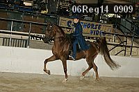 06reg14_0909 proof