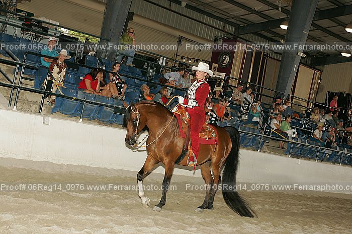 Proof 06reg14_0976
