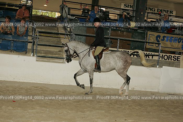 Proof 06reg14_0992