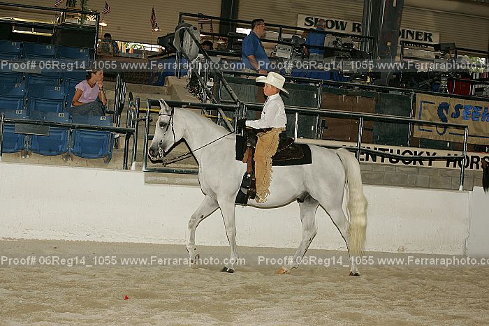 Proof 06reg14_1055