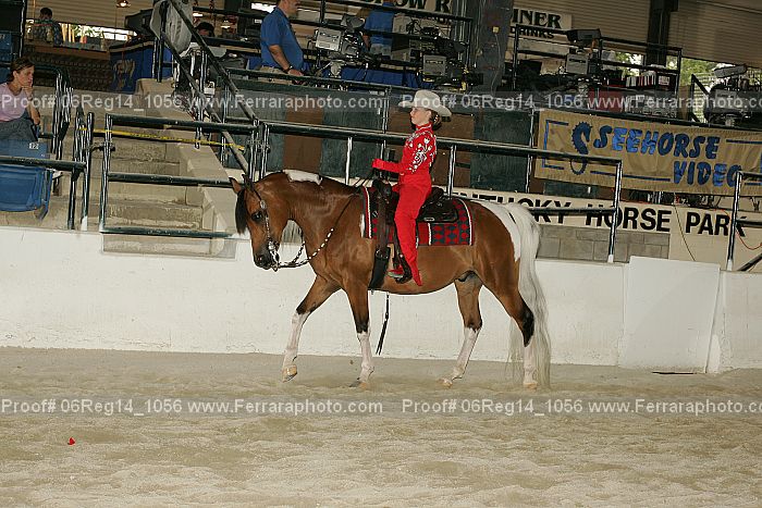 Proof 06reg14_1056