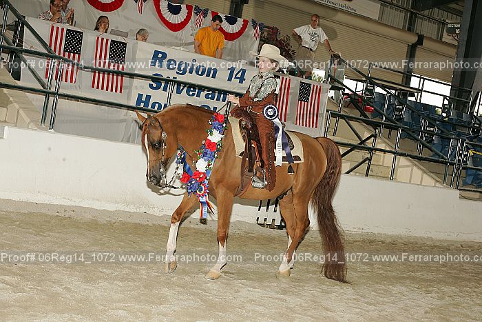 Proof 06reg14_1072