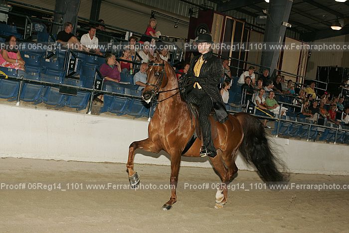 Proof 06reg14_1101