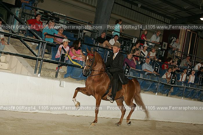 Proof 06reg14_1105