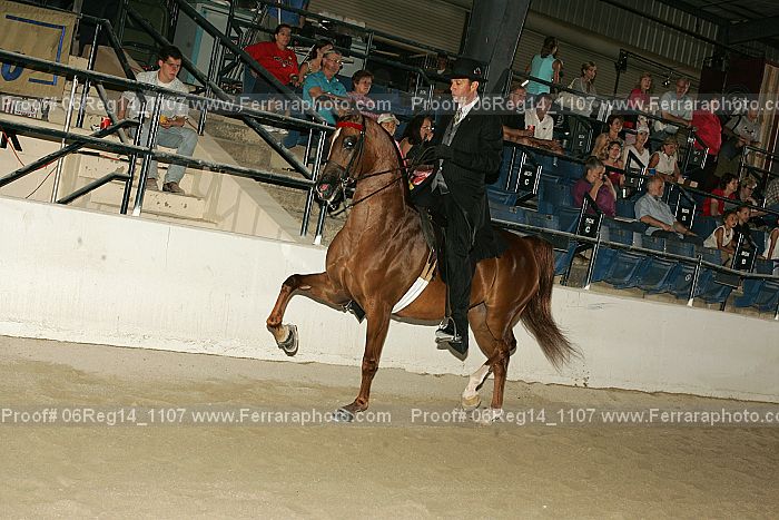 Proof 06reg14_1107