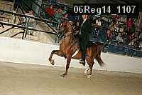 06reg14_1107 proof