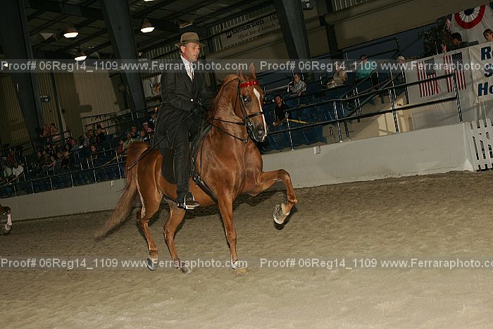 Proof 06reg14_1109