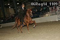 06reg14_1109 proof