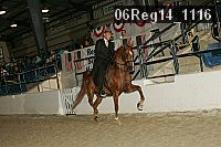06reg14_1116 proof
