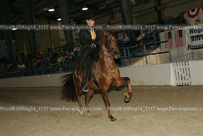 Proof 06reg14_1117